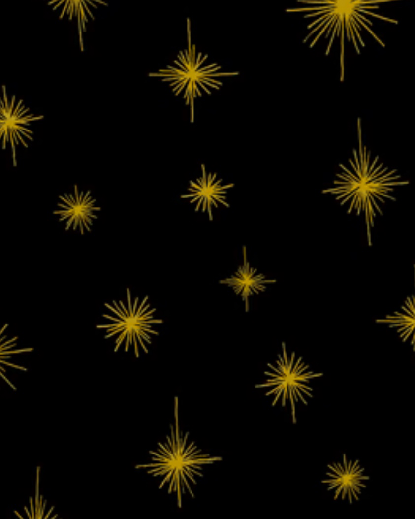 Effie's Heart Patrona Coat Twinkle Print