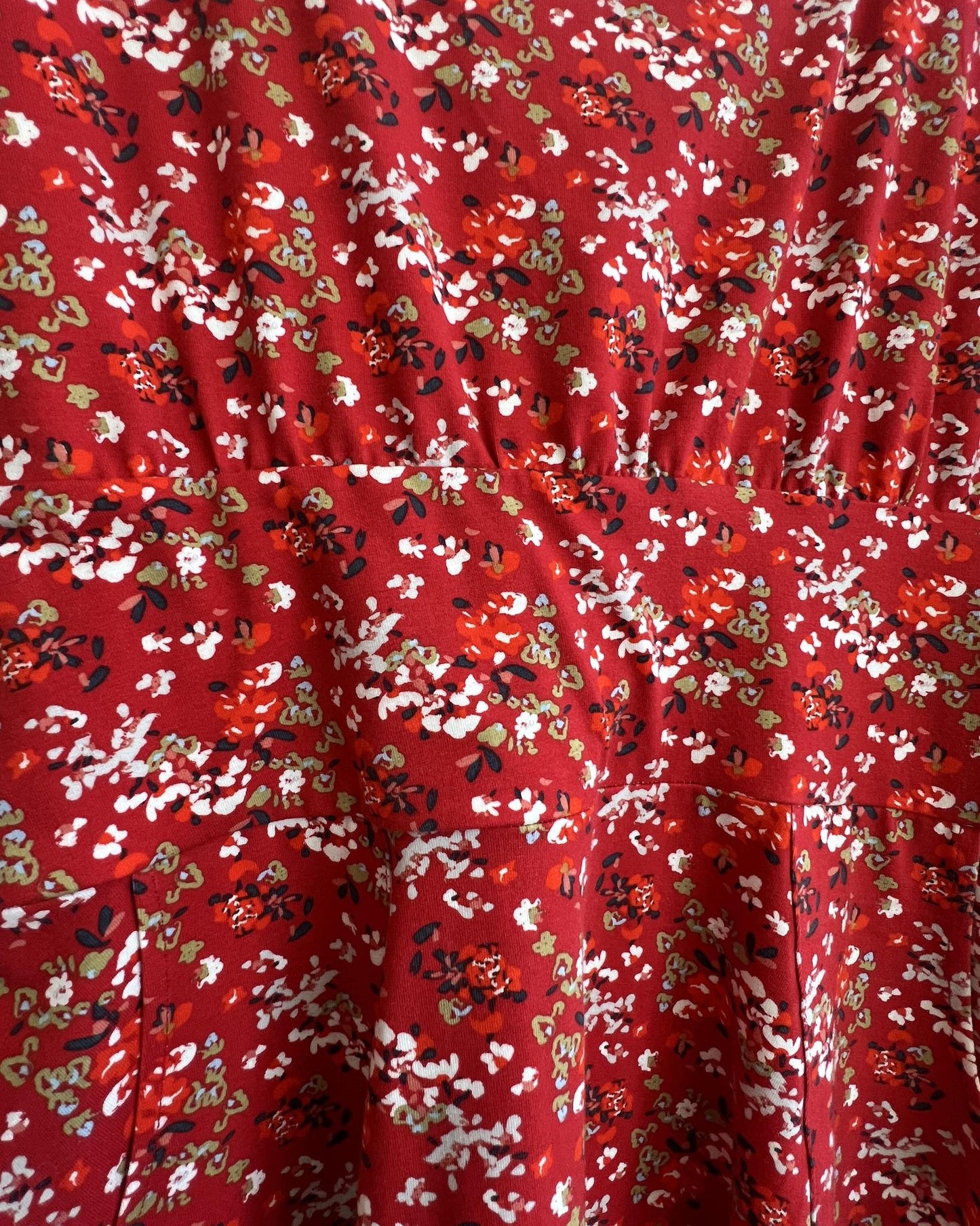 Squasht Petal Sleeve Dress in Scarlet Red Ditsy Floral Print