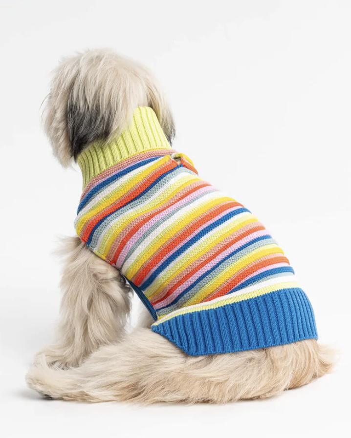 Verloop Circus Stripe Dog Sweater - Multi Rainbow