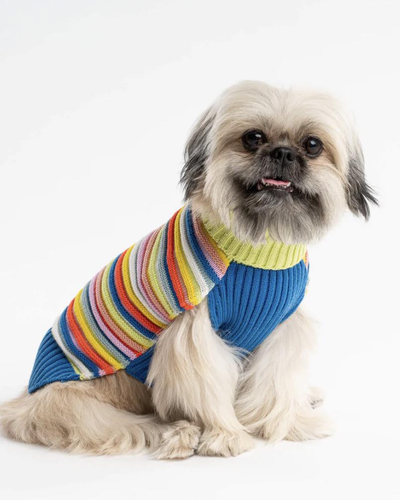 Verloop Circus Stripe Dog Sweater - Multi Rainbow
