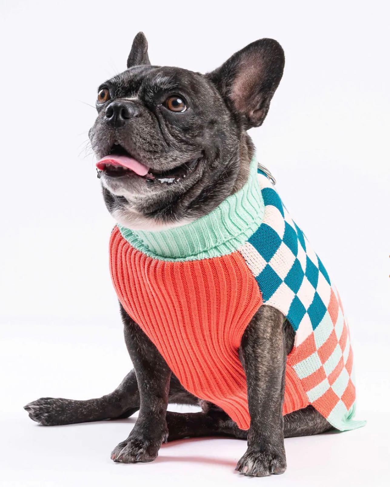 Verloop Checkerboard Dog Sweater - Melon Jade