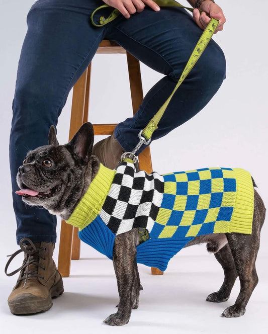 Verloop Checkerboard Dog Sweater - Lime Cobalt