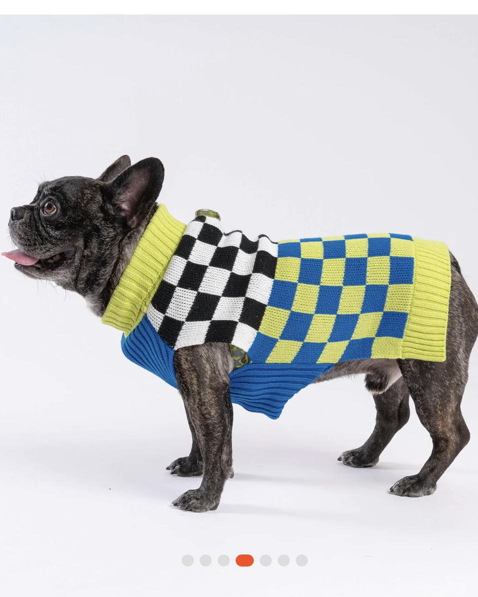 Verloop Checkerboard Dog Sweater - Lime Cobalt