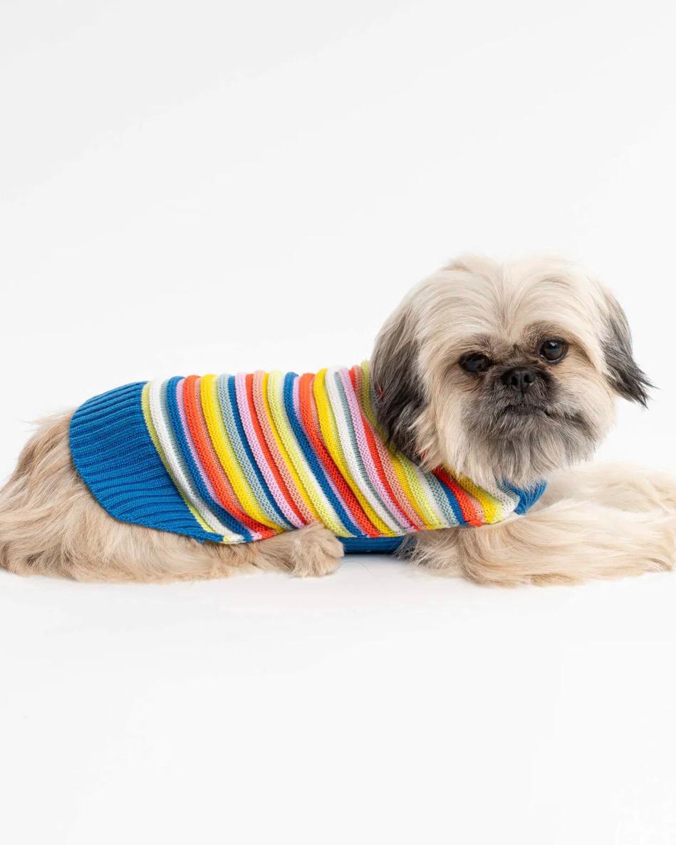 Verloop Circus Stripe Dog Sweater - Multi Rainbow