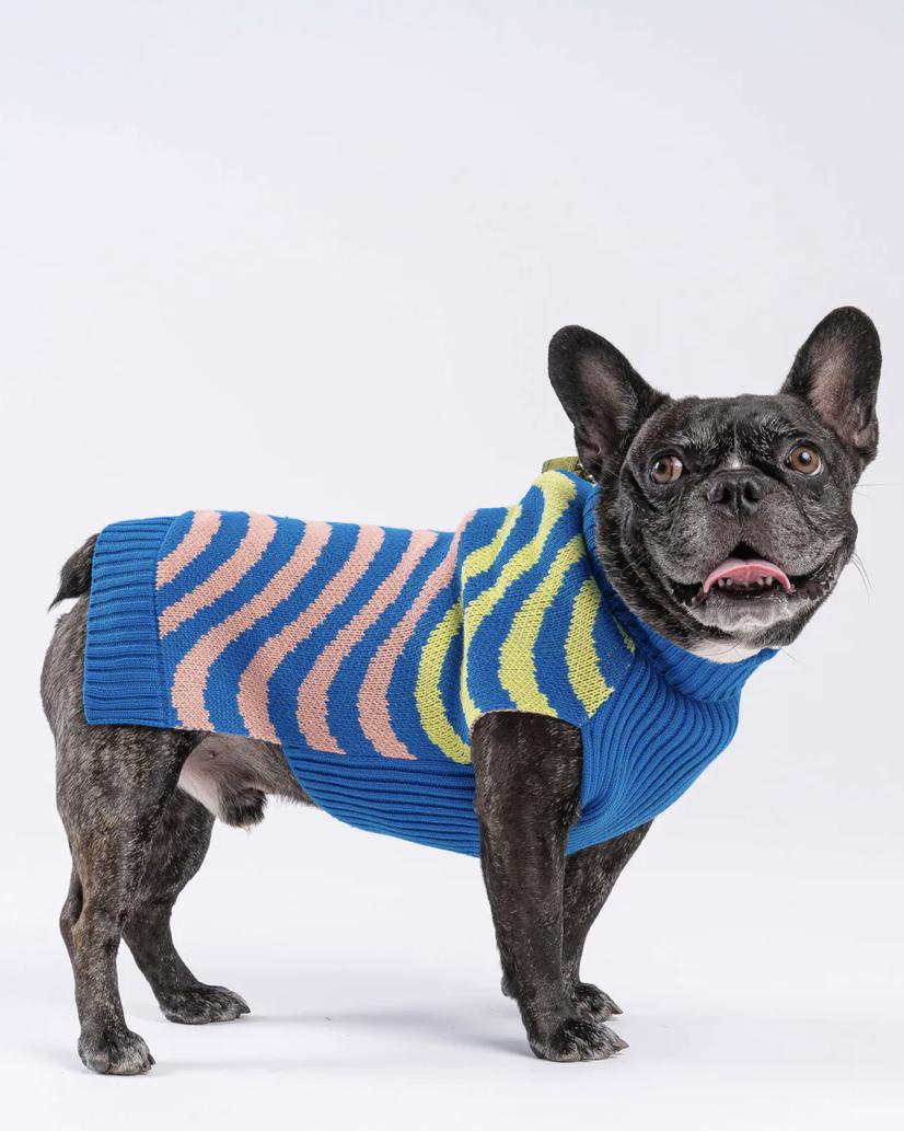 Verloop Soundwave Dog Sweater - Lime Cobalt