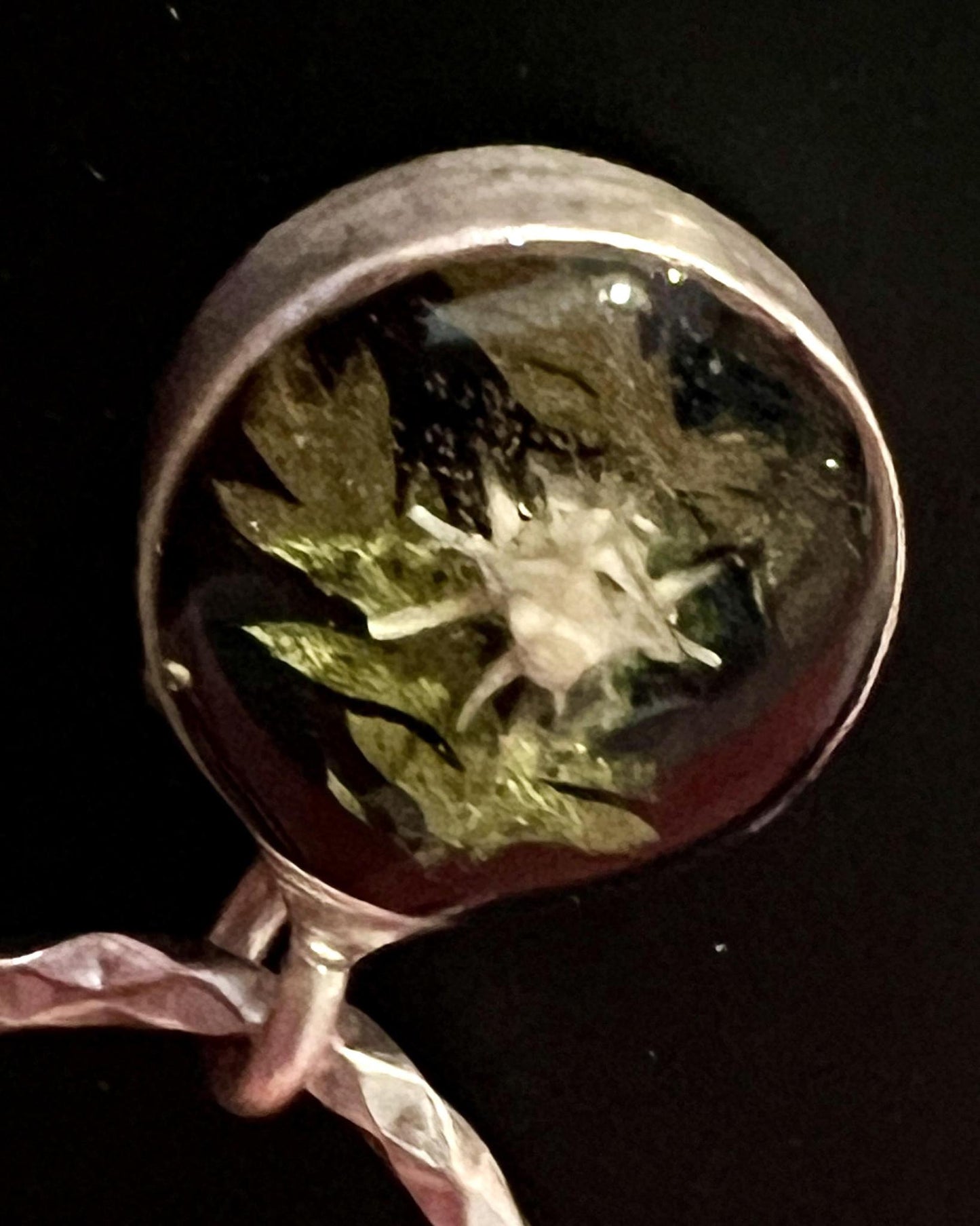 Pajaro Negro Hammered Circle Earrings w/ Python Vertebrae and Ferns