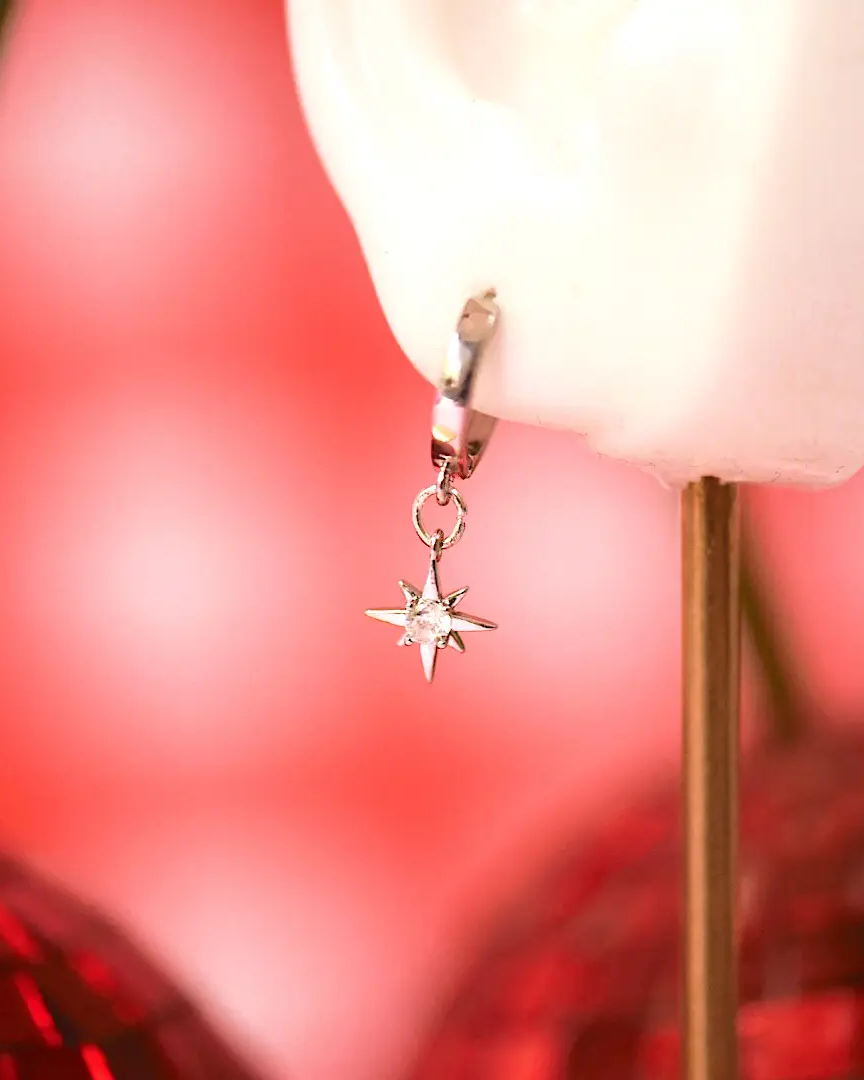 Golden Hour Astraea Star Huggie Earrings in Gold & Silver