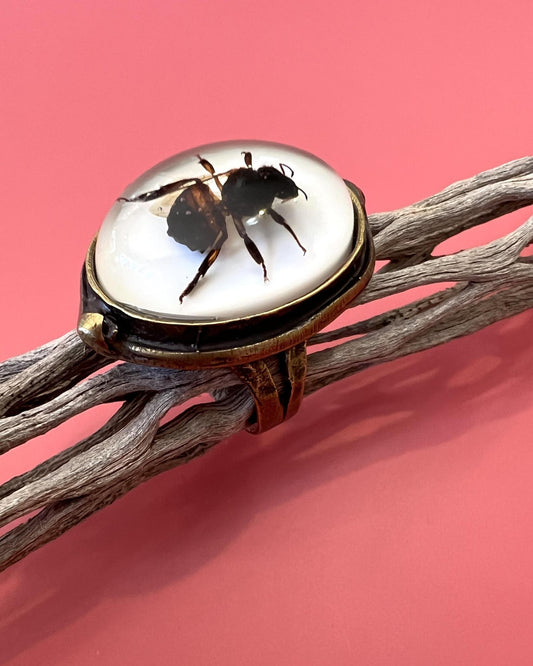 Pajaro Negro Honey Bee Ring - Brass