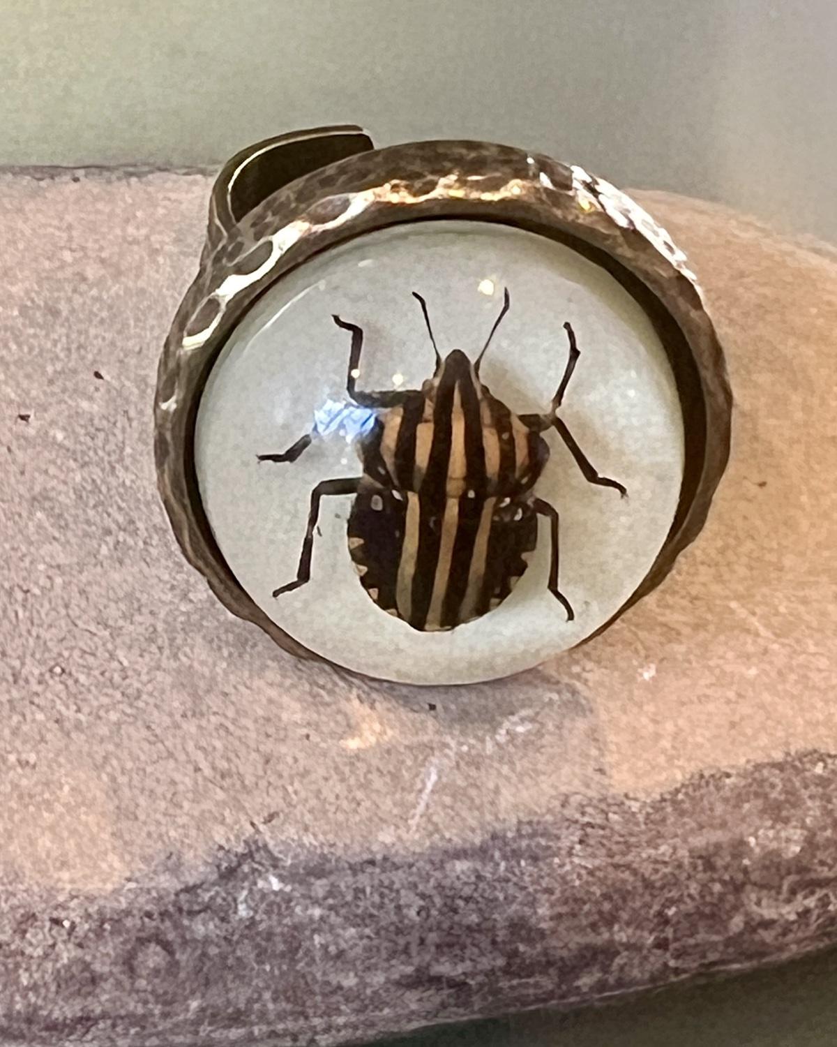 Pajaro Negro Striped Beetle Round Ring