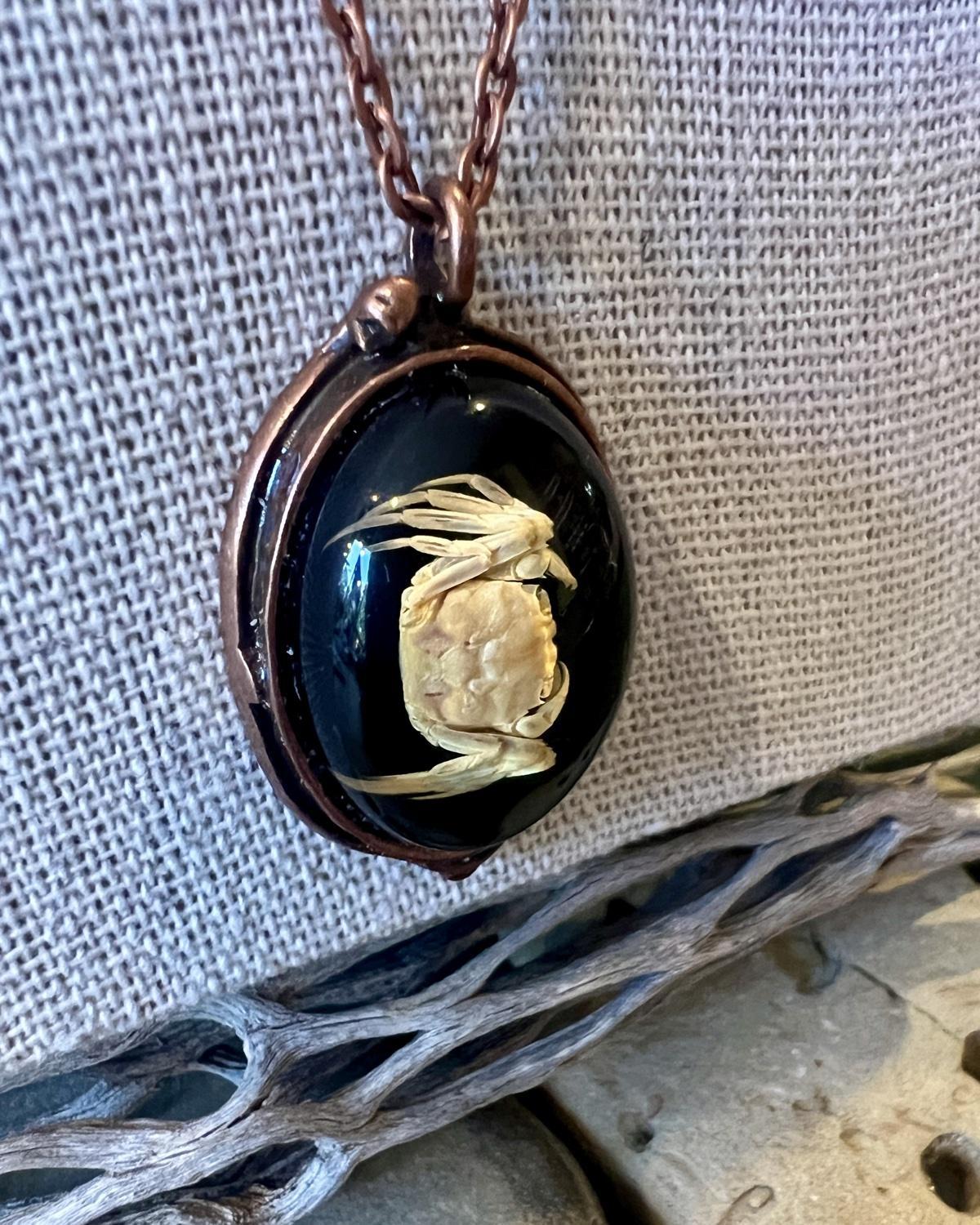 Pajaro Negro Little Crab on Black Background Oval Pendant Necklace