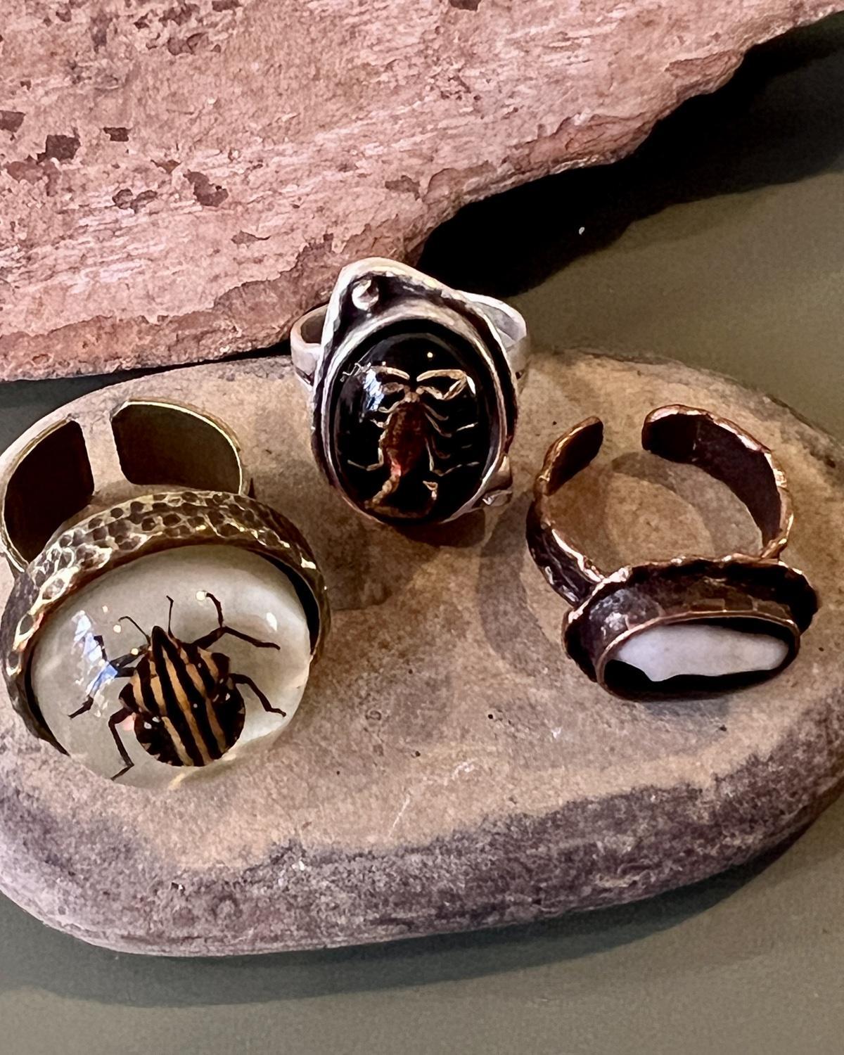 Pajaro Negro Striped Beetle Round Ring