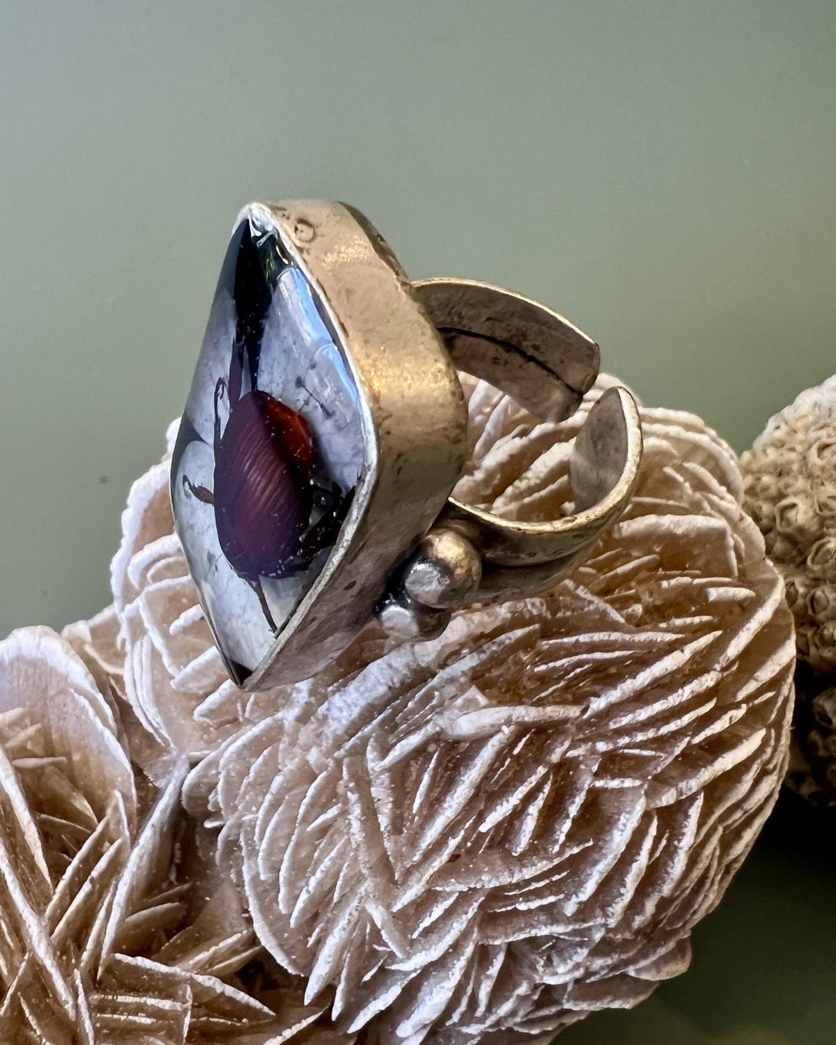 Pajaro Negro Botanical Beetle Ring