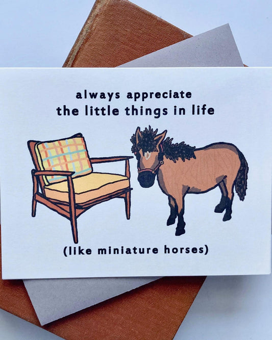Heilo Cards Always Appreciate the Little Things in Life (Like Miniature Horses)