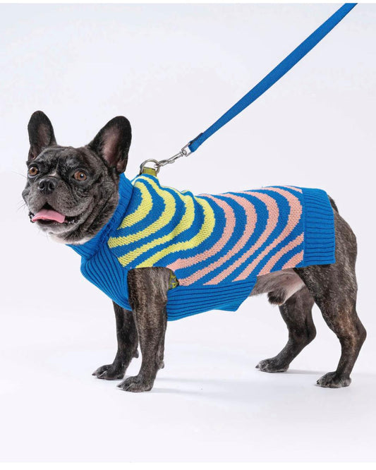 Verloop Soundwave Dog Sweater - Lime Cobalt