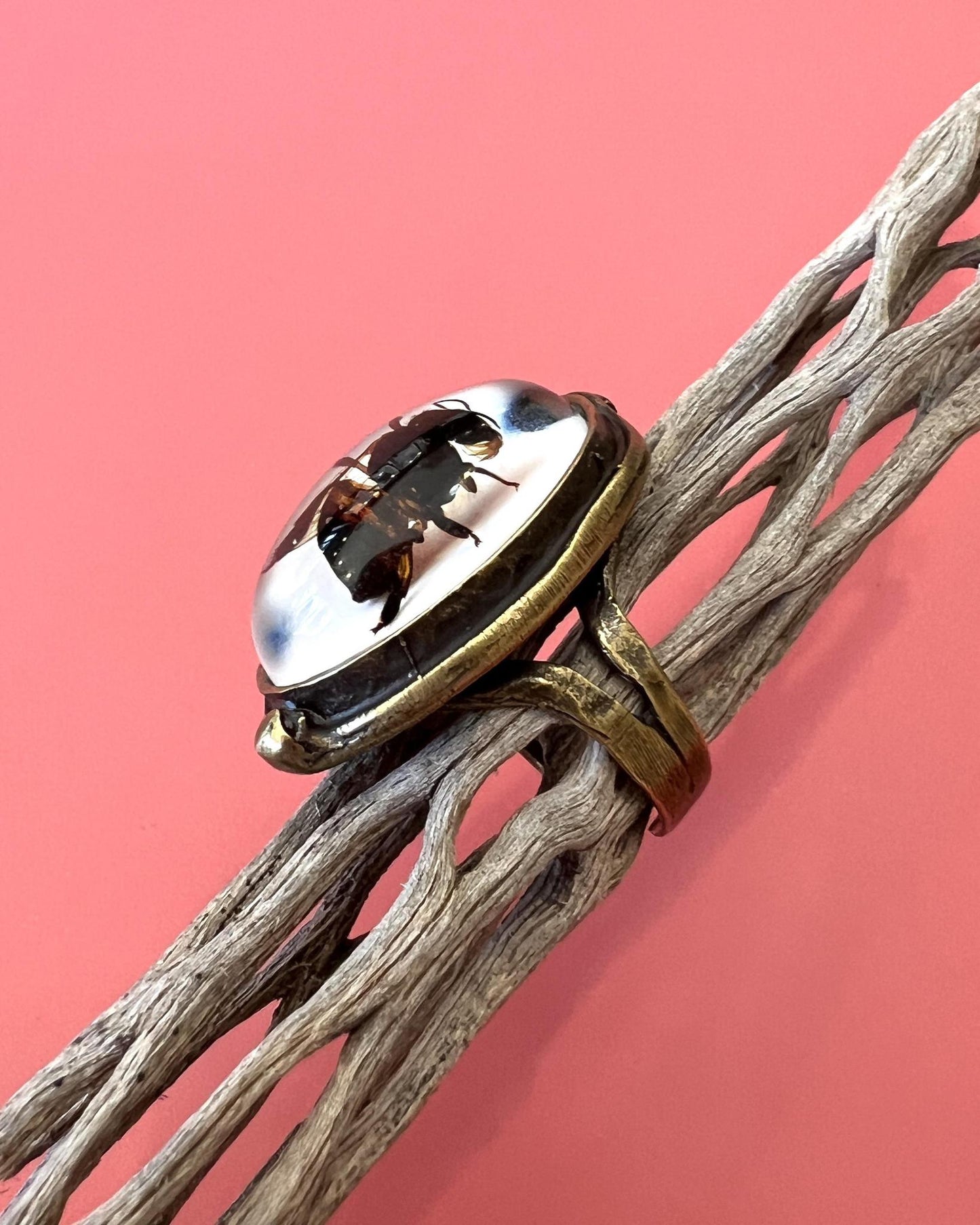 Pajaro Negro Honey Bee Ring - Brass