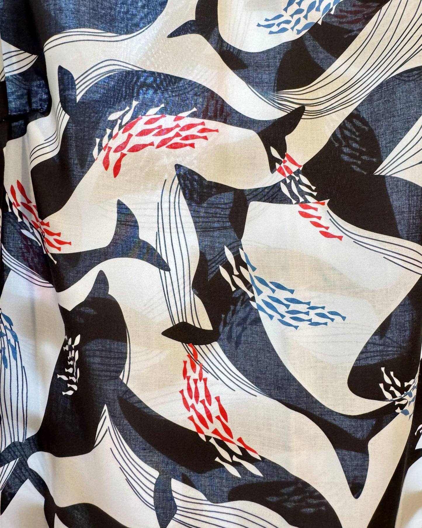 Squasht Puff Sleeve Top in Whales