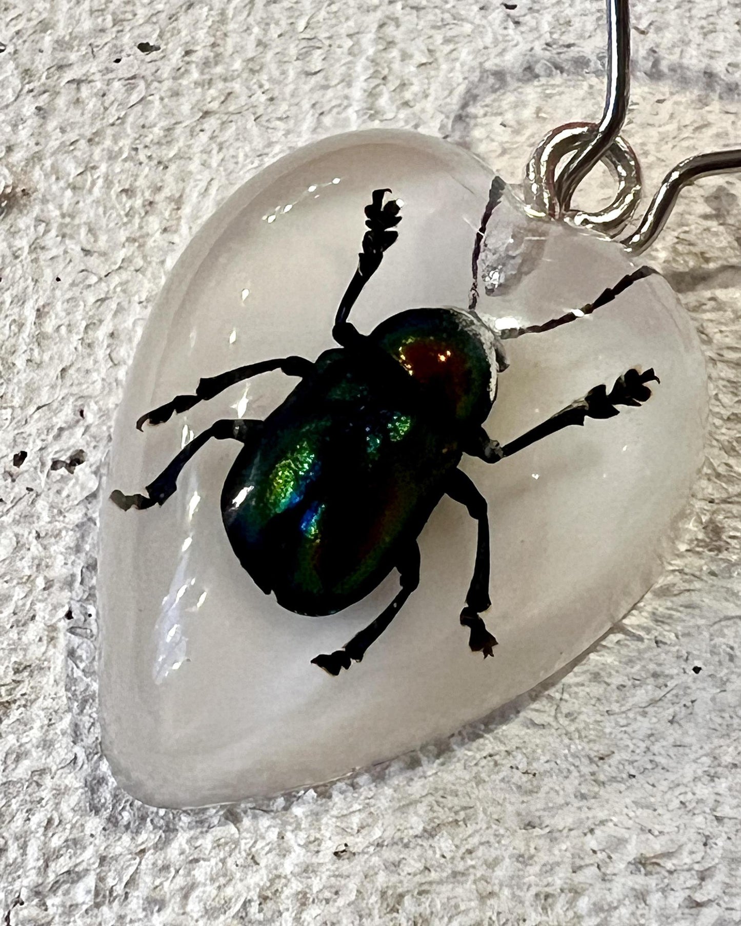 Pajaro Negro Beetle Heart-Shaped Earrings