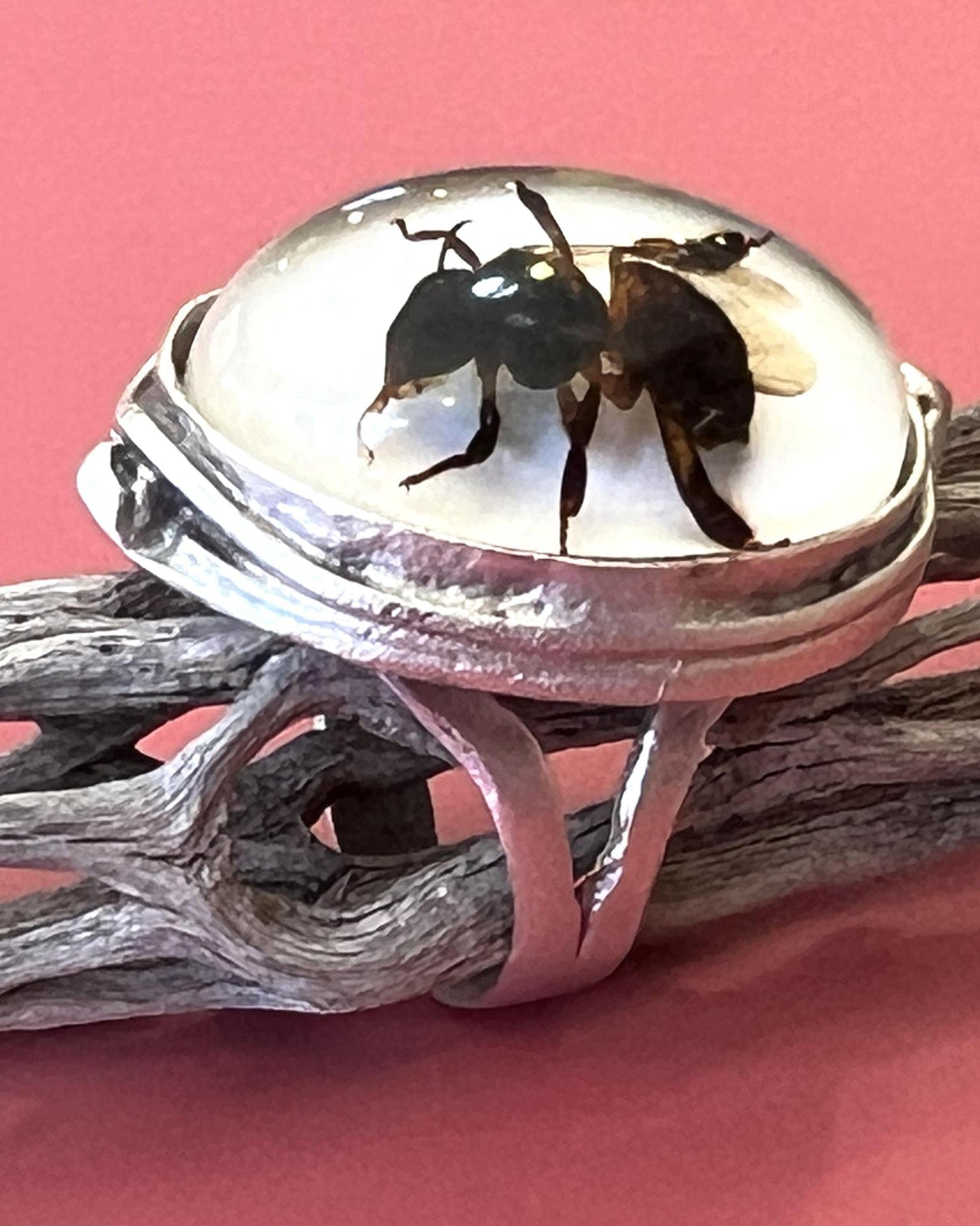 Pajaro Negro Honey Bee Ring - Silver