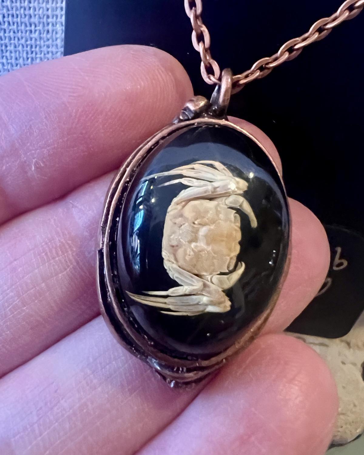 Pajaro Negro Little Crab on Black Background Oval Pendant Necklace