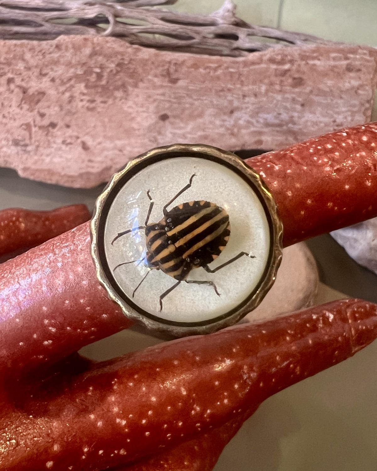 Pajaro Negro Striped Beetle Round Ring