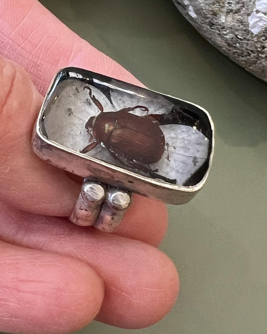 Pajaro Negro Botanical Beetle Ring