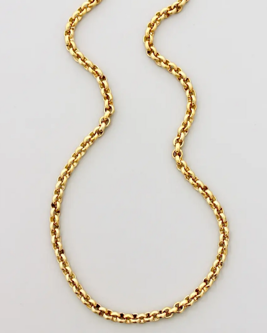 David Aubrey Gold Link Chain Necklace