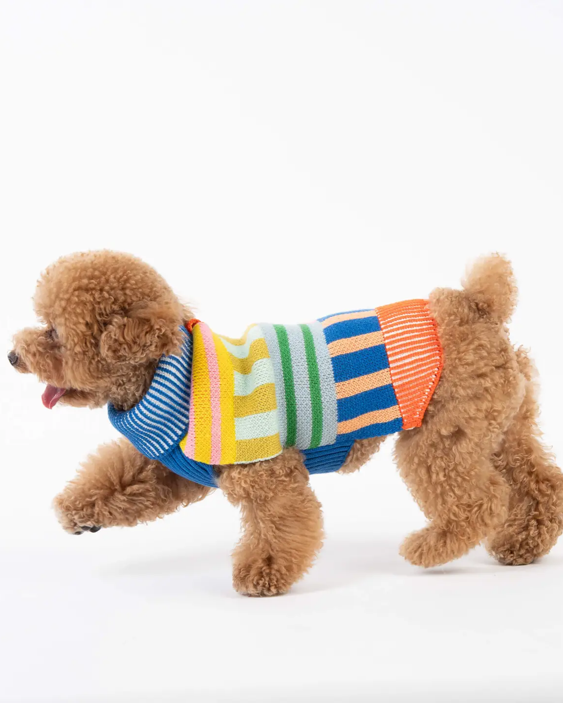 Verloop Patchwork Stripe Dot Dog Sweater - Sport