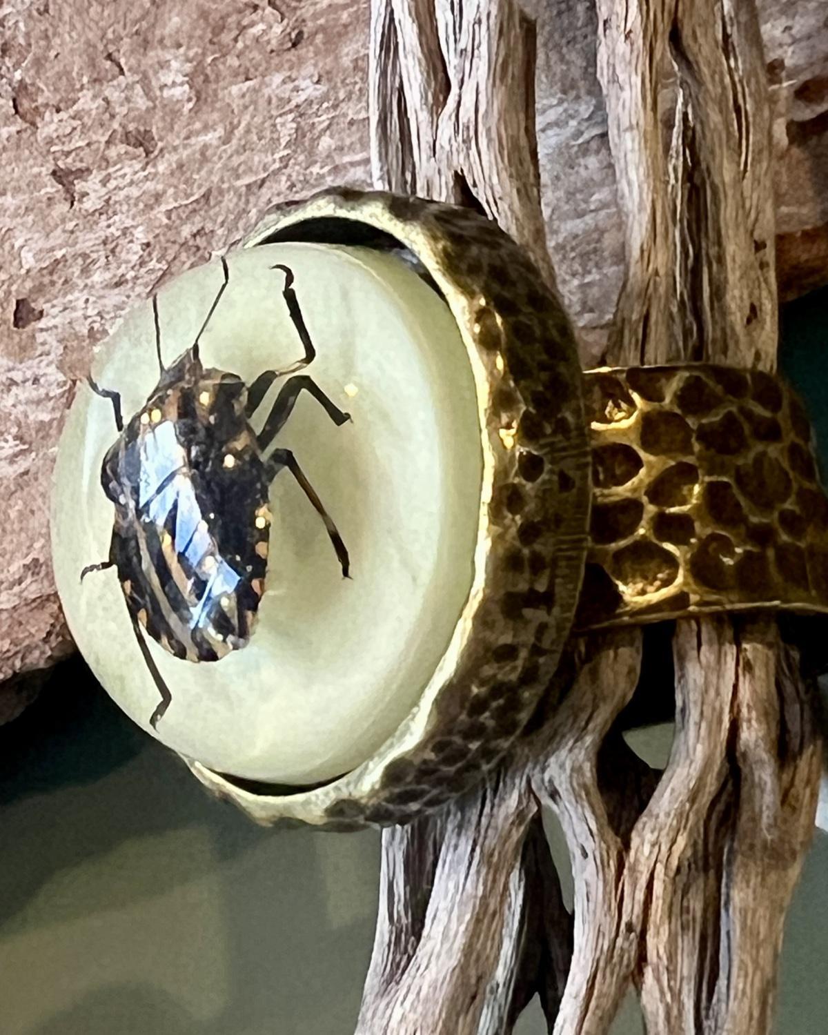 Pajaro Negro Striped Beetle Round Ring