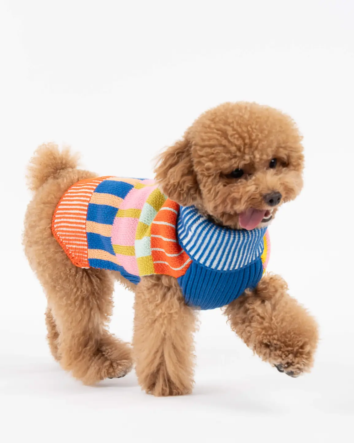 Verloop Patchwork Stripe Dot Dog Sweater - Sport